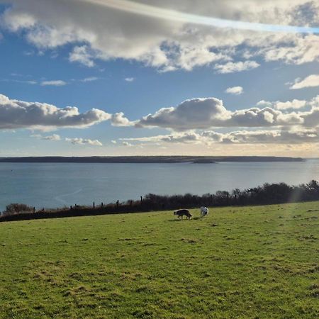 Coast Path Camping Saint Ishmaels (Pembrokeshire) Exterior foto