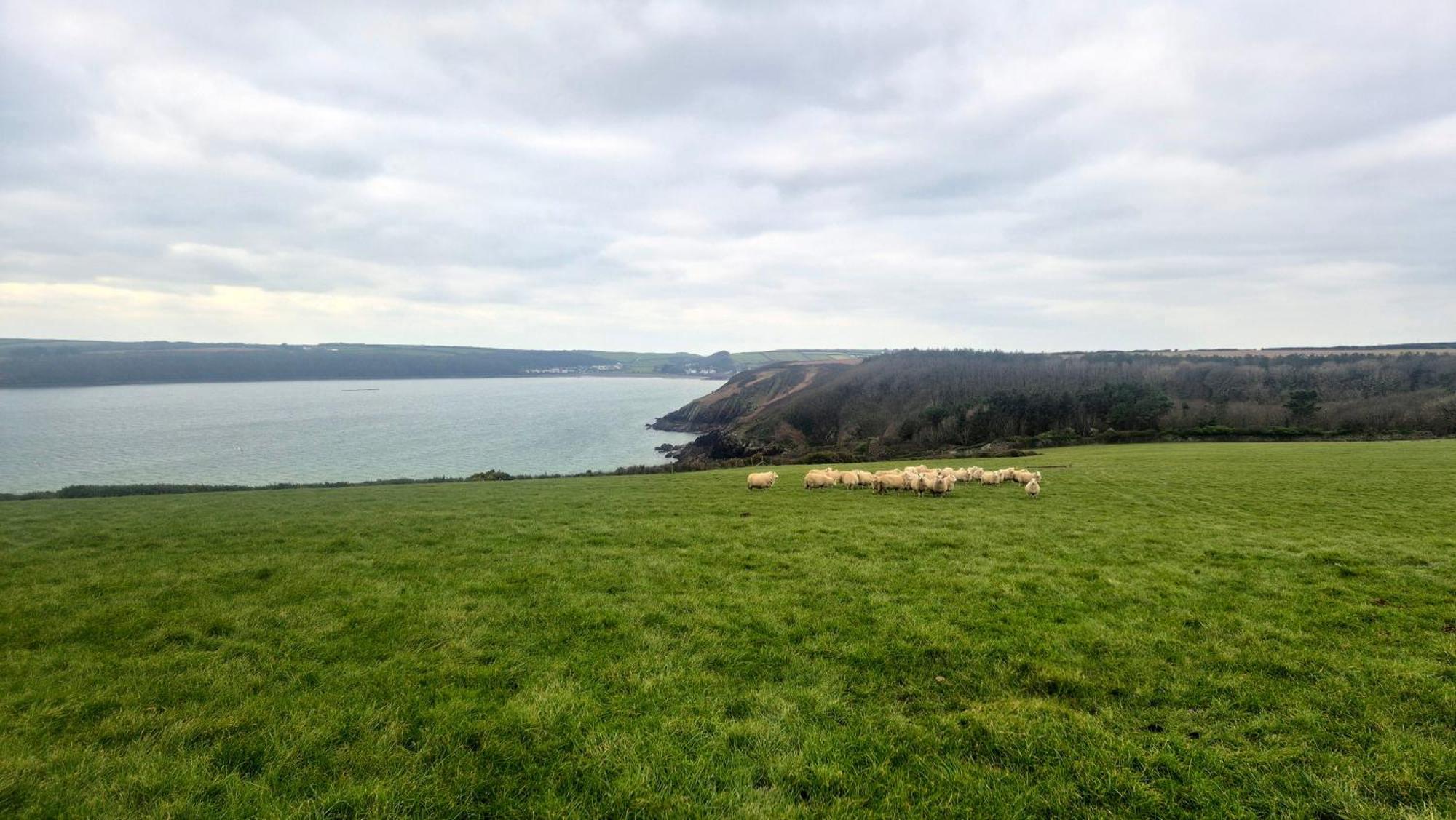 Coast Path Camping Saint Ishmaels (Pembrokeshire) Exterior foto